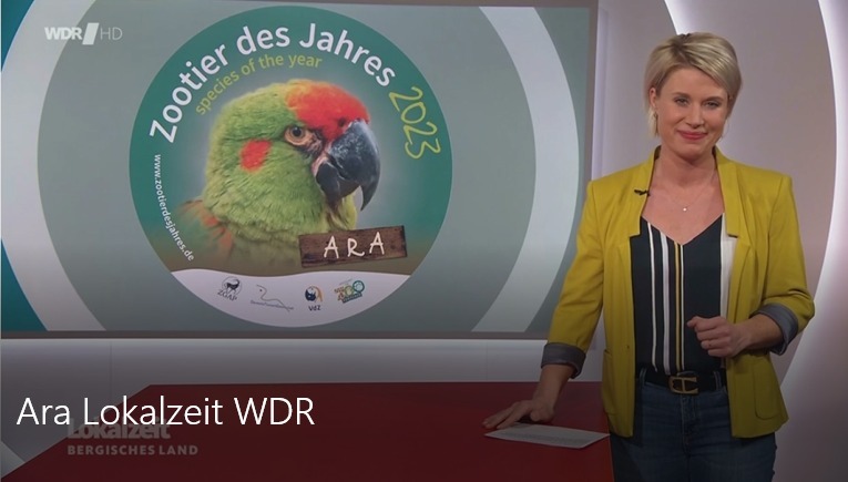 Campaña Alemania 1