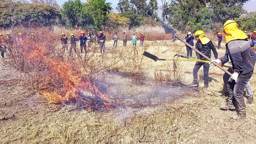 Comunarios combatientes forestales