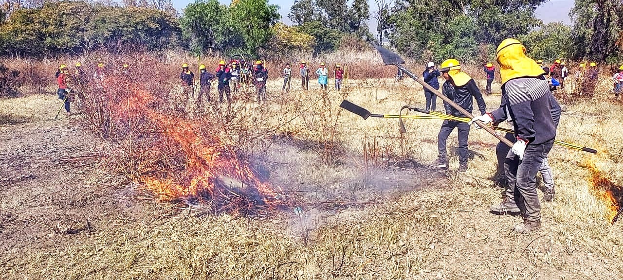 Comunarios combatientes forestales