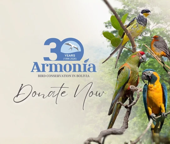 Donate now